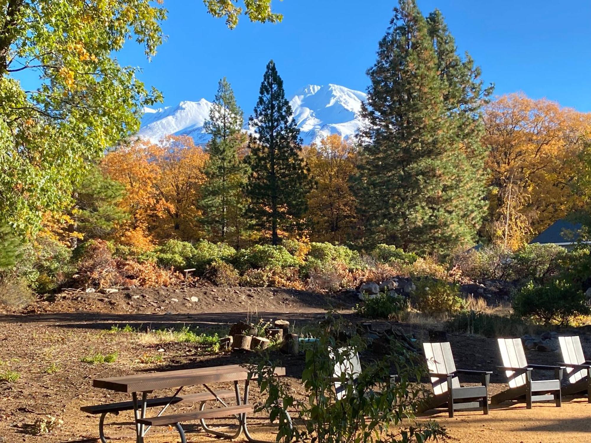 Basecamp Lodge Mount Shasta Bagian luar foto